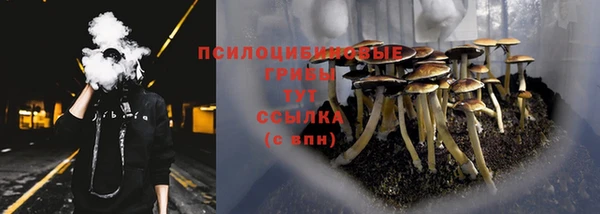 ALPHA PVP Нефтекумск